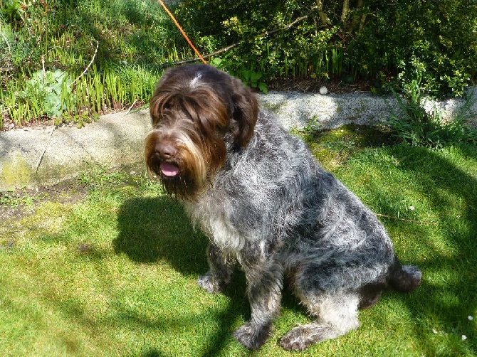 des Baies Picardes - JACK A FAIT SA GRANDE TOILETTE DE PRINTEMPS