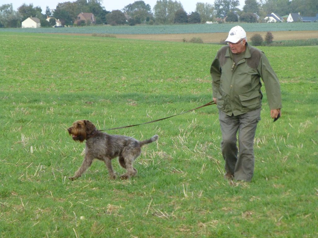 des Baies Picardes - Field de Andechy 80 SCNP 02/10/2017