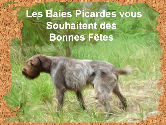 des Baies Picardes - Bonnes Fêtes à Tous