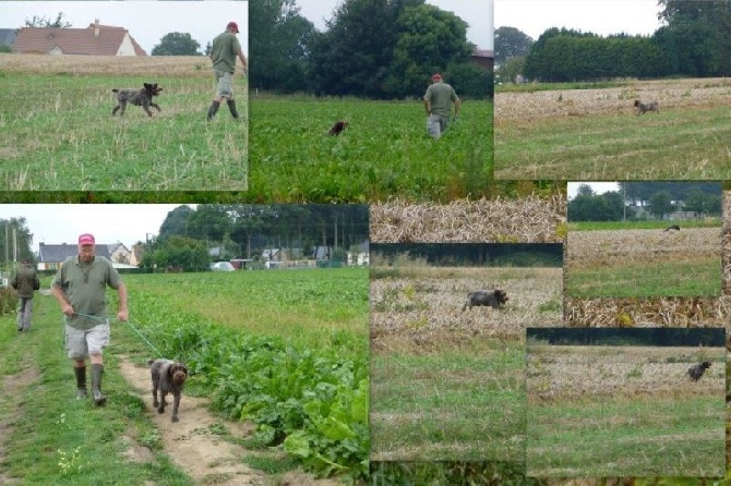 des Baies Picardes - Tan Angerville le Martel 76 le 31.08.2013