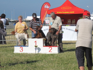 des Baies Picardes - Exposition de DIEPPE spéciale de race le 24/07/2010