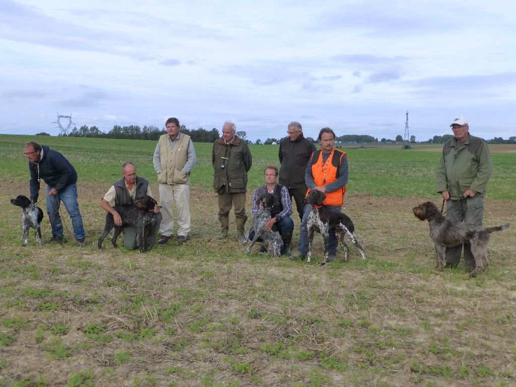 des Baies Picardes - Field de TINCQUES 62 du 04/10/2017