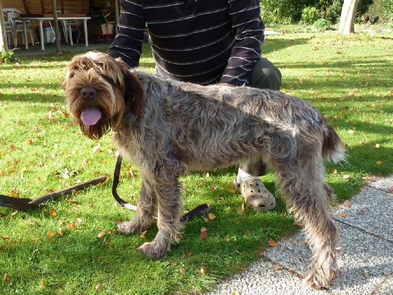 Gipsy des vallons de picardie