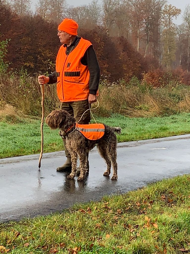 des Baies Picardes - FIELDS Automne 2021 OYAT