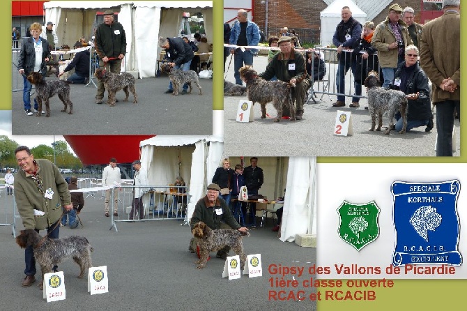 des Baies Picardes - Gipsy Spéciale de Race a Amiens 27/04/2014